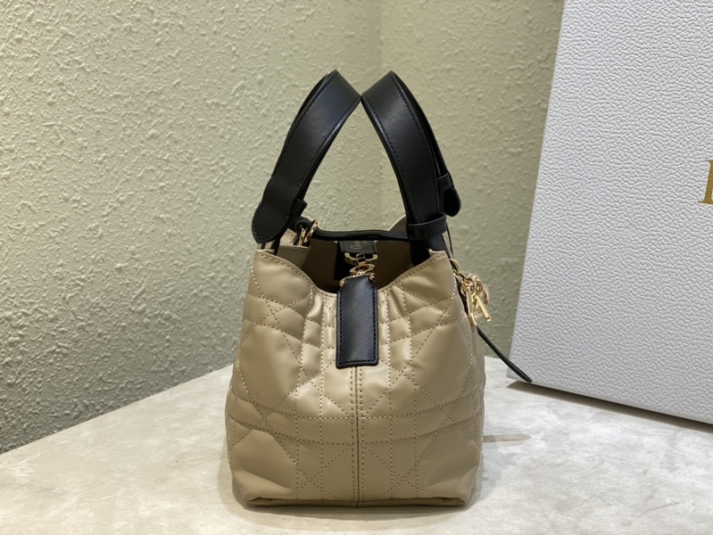 Dior Handbags AAA(Women)-566
