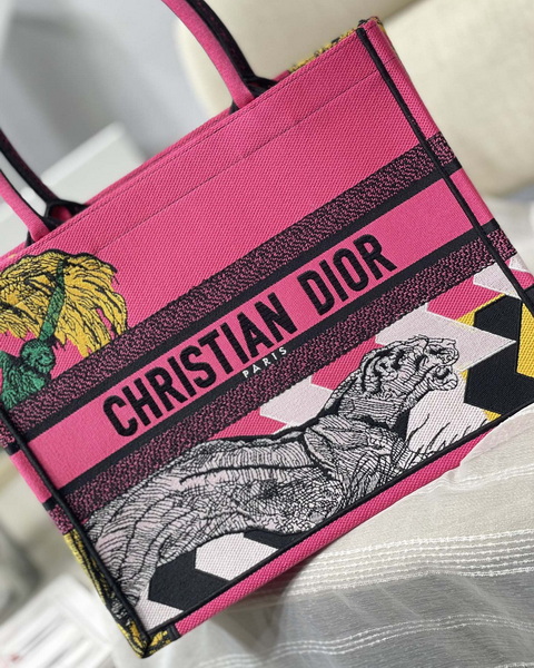 Dior Handbags AAA(Women)-567