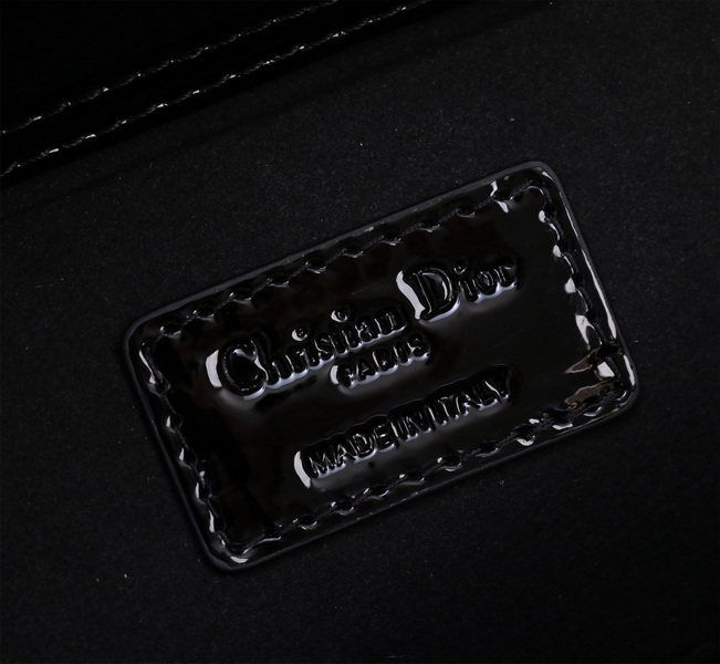 Dior Handbags AAA(Women)-570