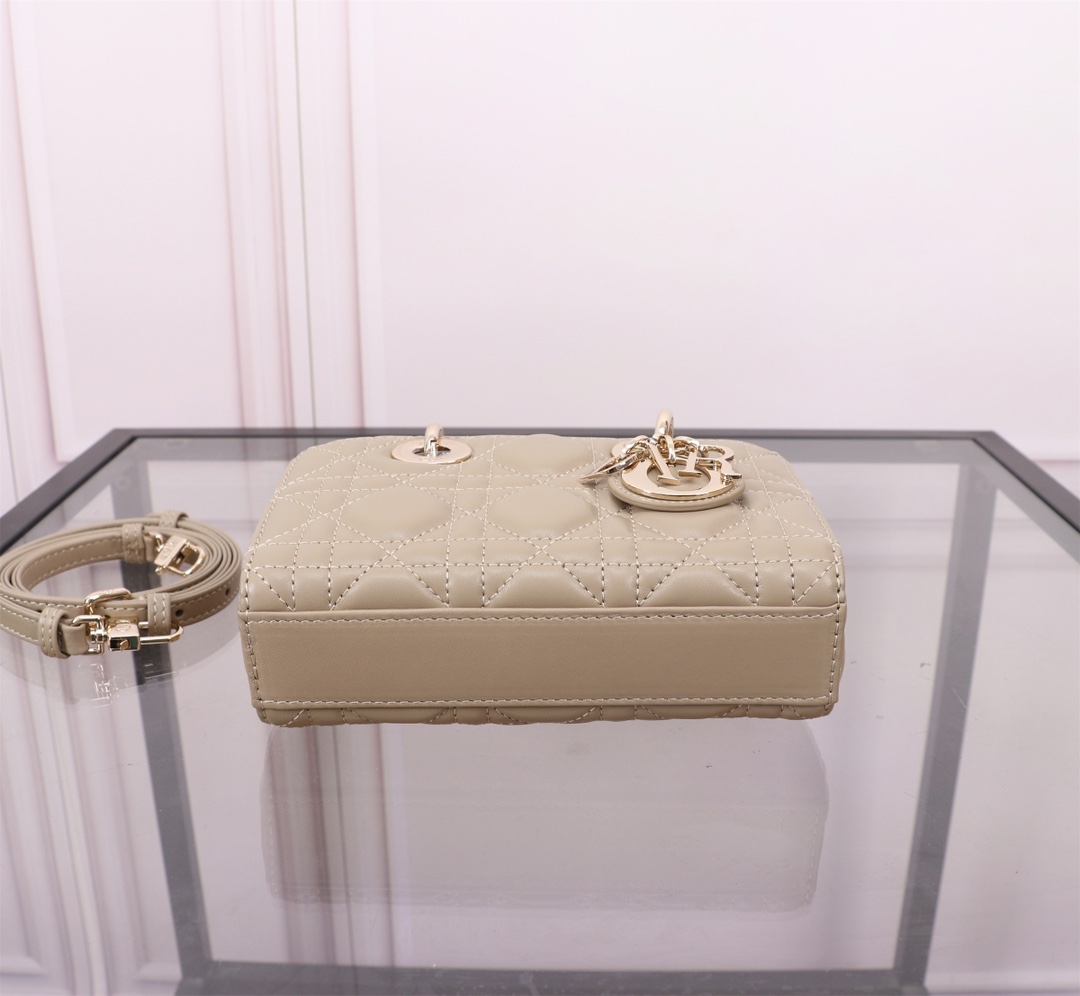 Dior Handbags AAA(Women)-573