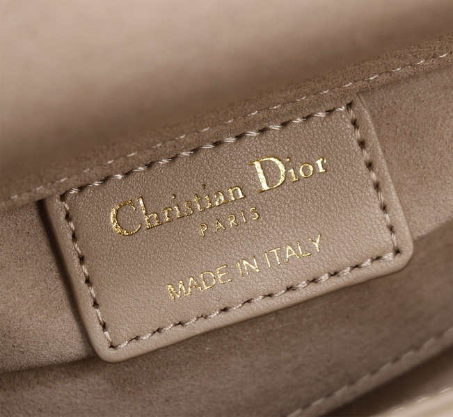 Dior Handbags AAA(Women)-573