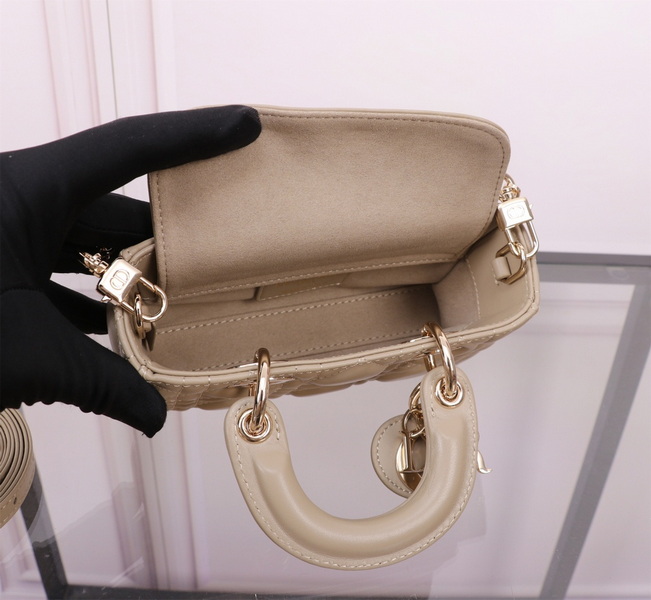 Dior Handbags AAA(Women)-573