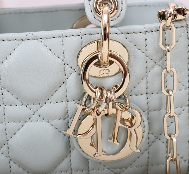 Dior Handbags AAA(Women)-574