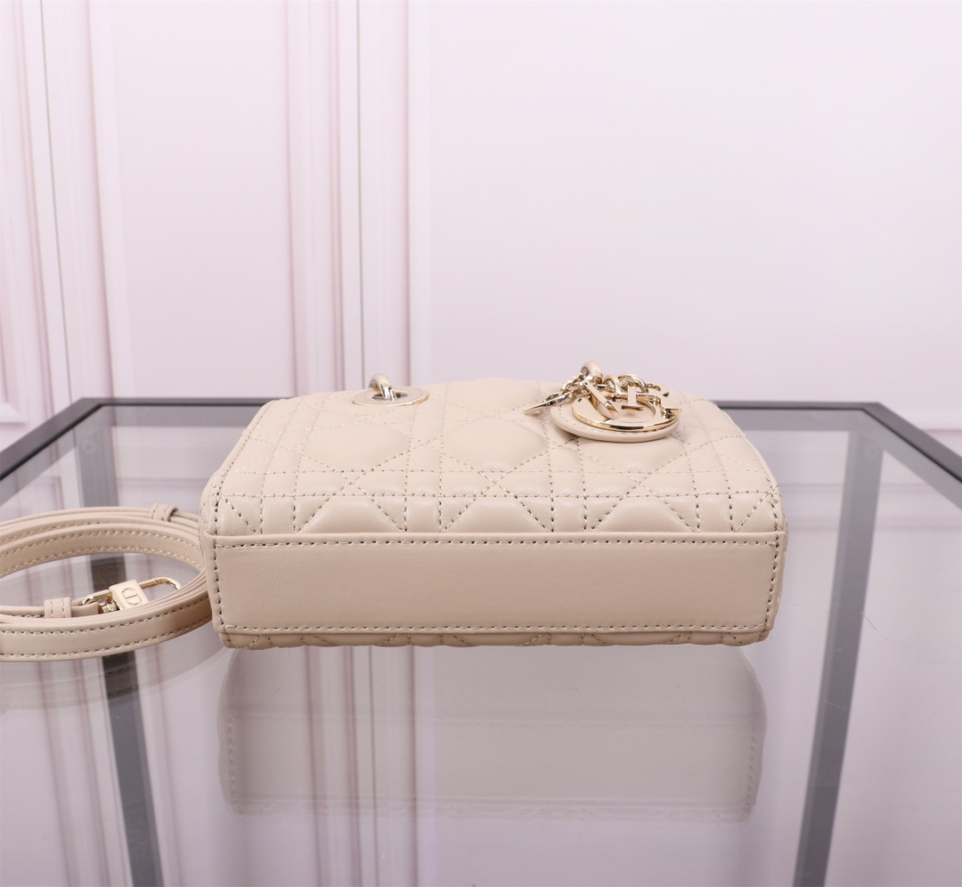 Dior Handbags AAA(Women)-575