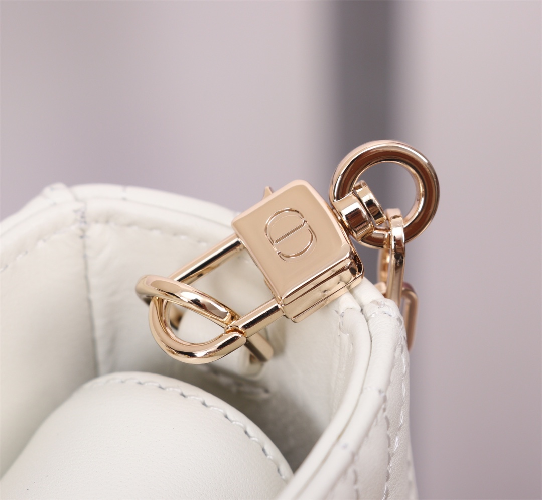 Dior Handbags AAA(Women)-576