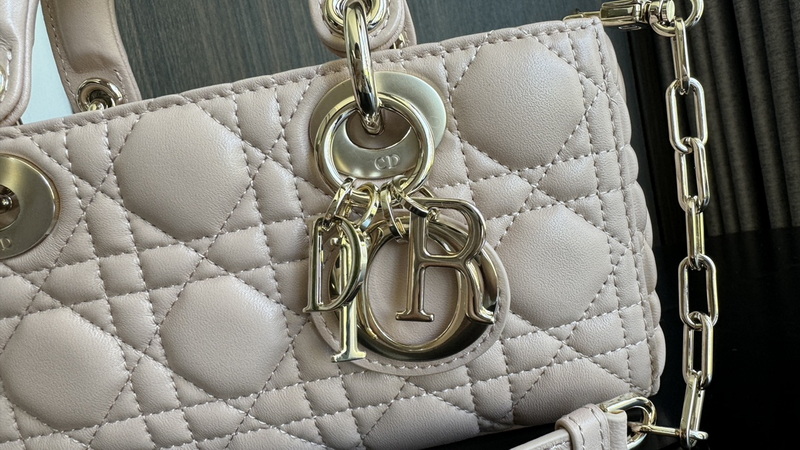 Dior Handbags AAA(Women)-587