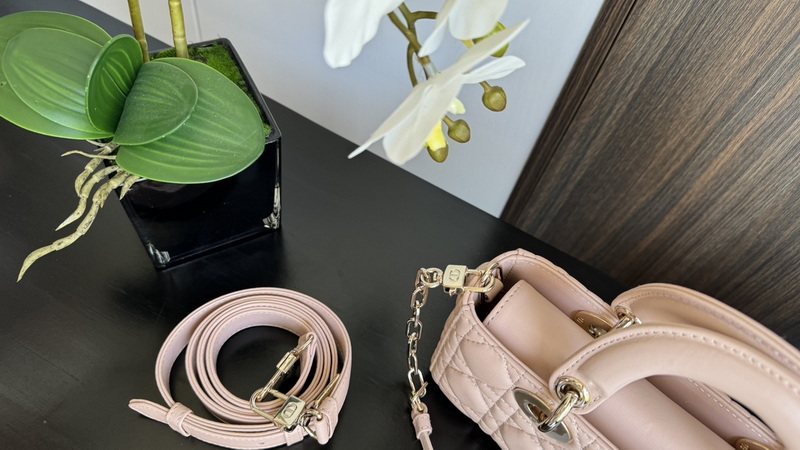 Dior Handbags AAA(Women)-587