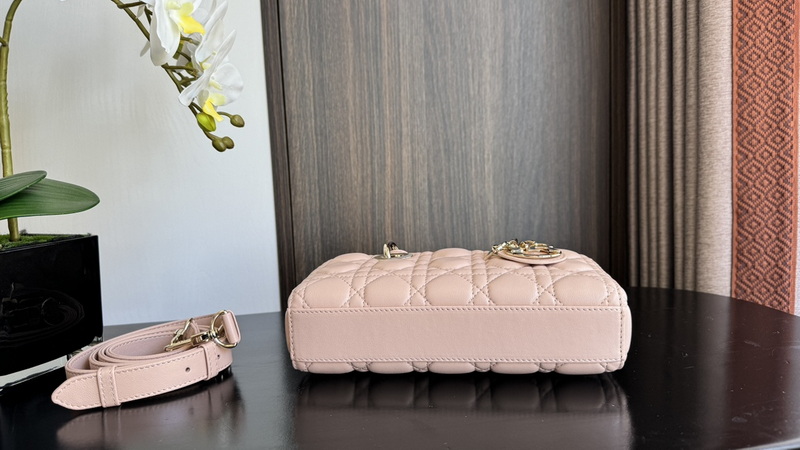 Dior Handbags AAA(Women)-587