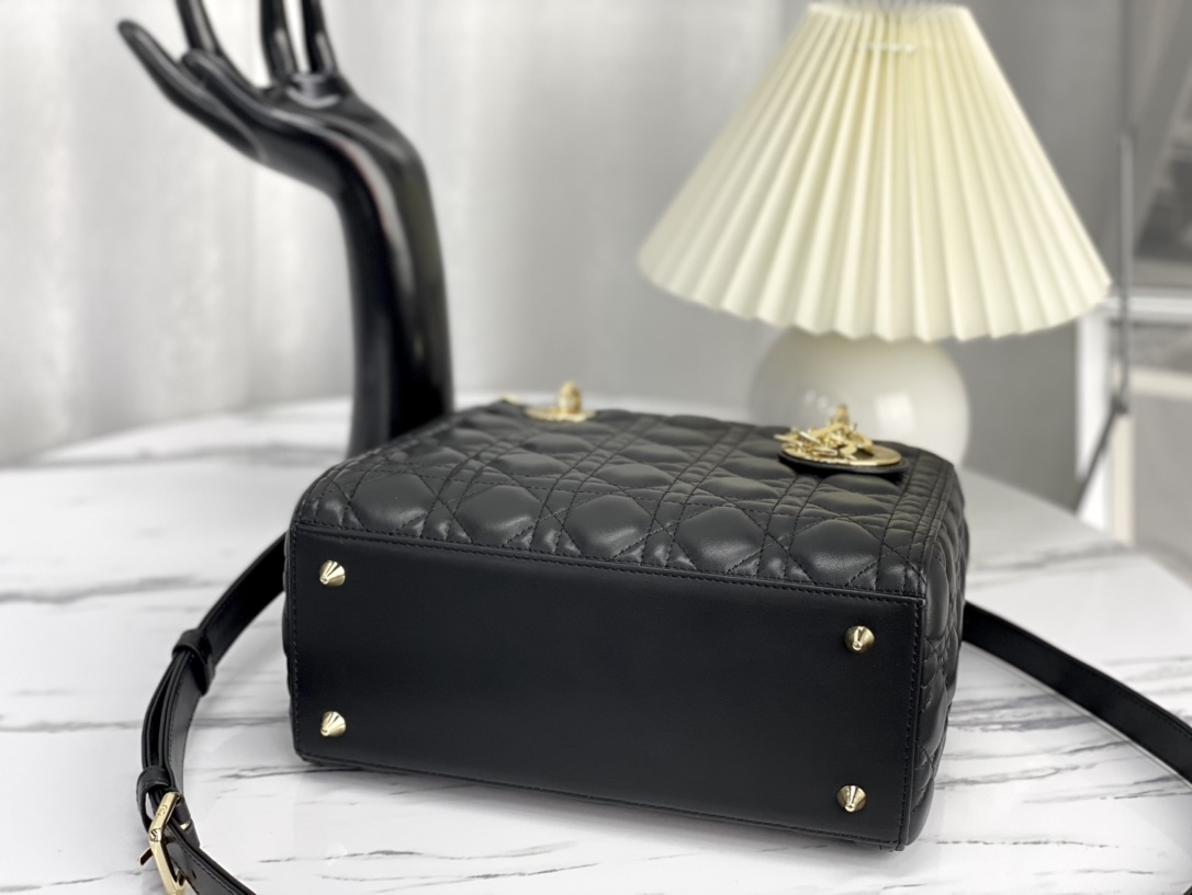 Dior Handbags AAA(Women)-588