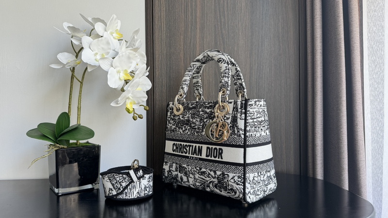 Dior Handbags AAA(Women)-605