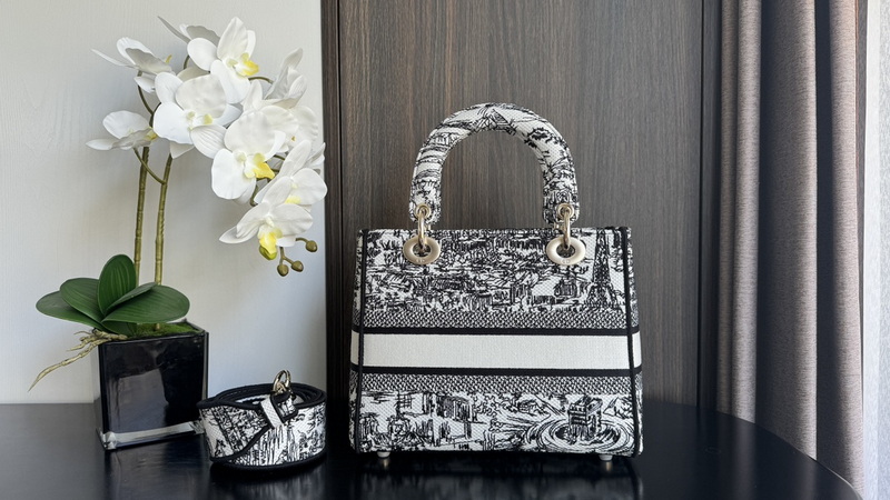 Dior Handbags AAA(Women)-605