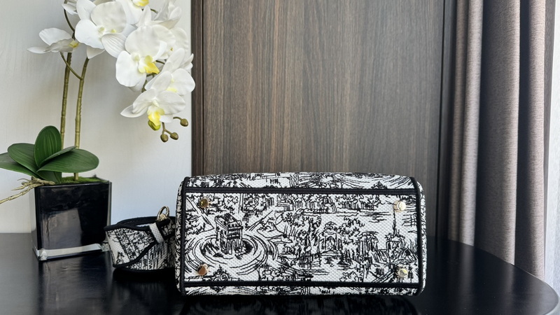 Dior Handbags AAA(Women)-605