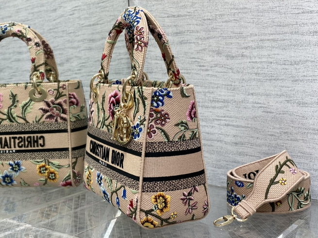Dior Handbags AAA(Women)-607