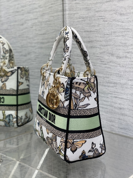 Dior Handbags AAA(Women)-610