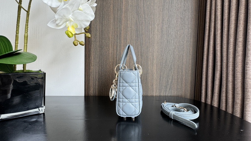 Dior Handbags AAA(Women)-614