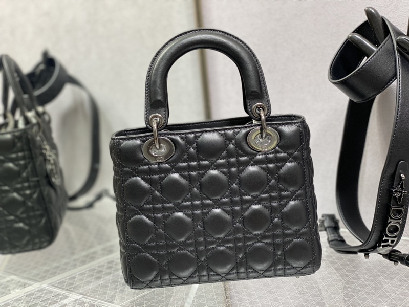 Dior Handbags AAA(Women)-618