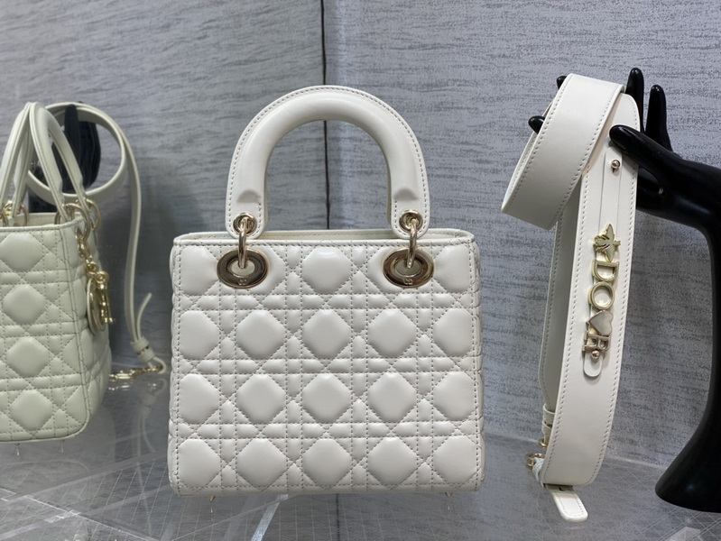 Dior Handbags AAA(Women)-620