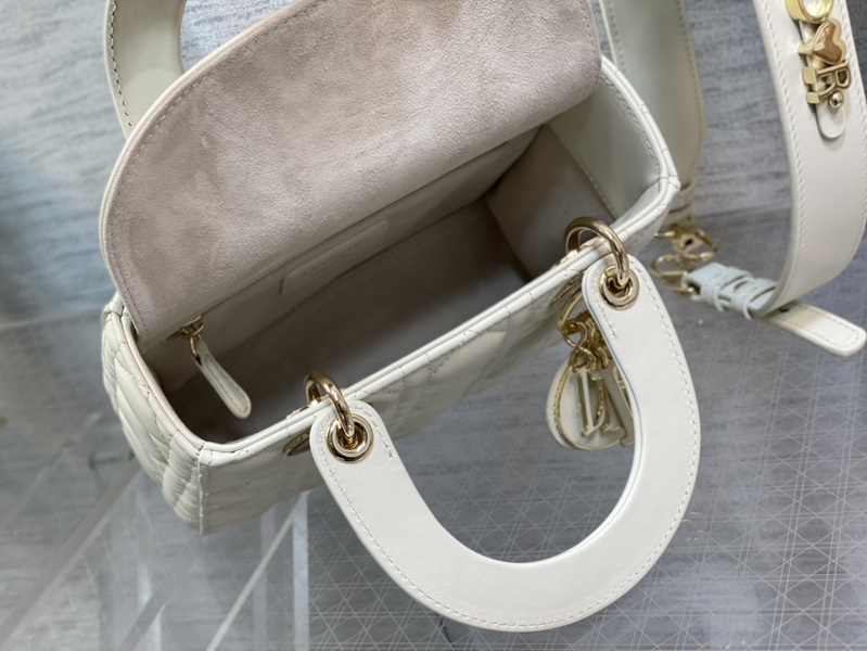Dior Handbags AAA(Women)-620