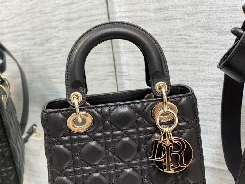 Dior Handbags AAA(Women)-621