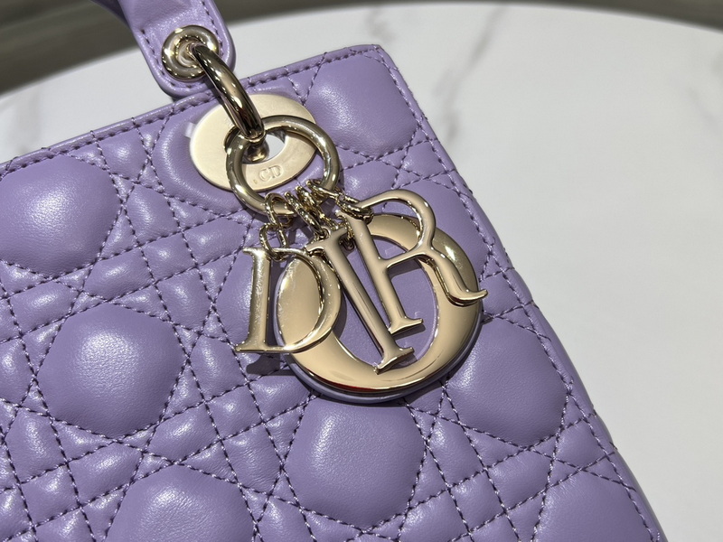 Dior Handbags AAA(Women)-625