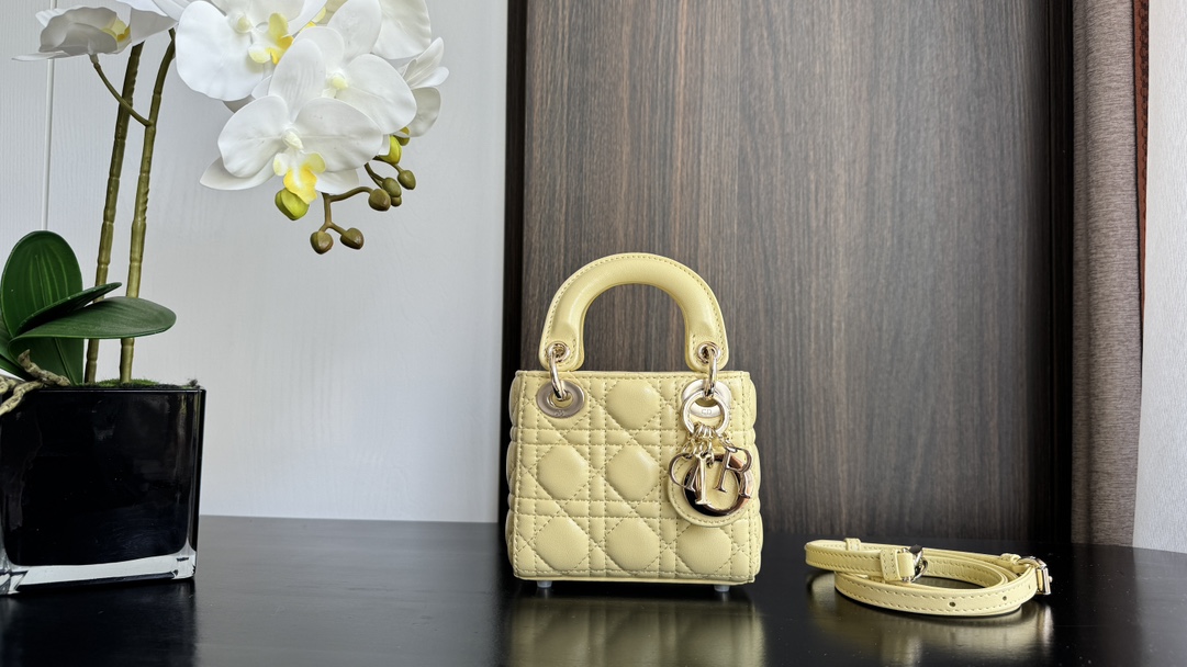 Dior Handbags AAA(Women)-630