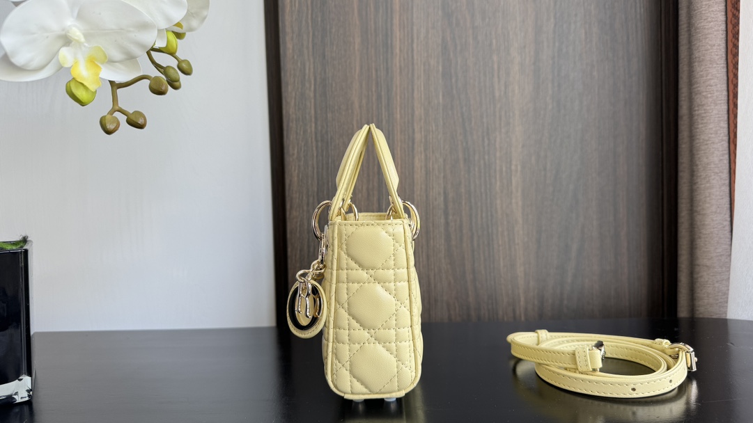 Dior Handbags AAA(Women)-630