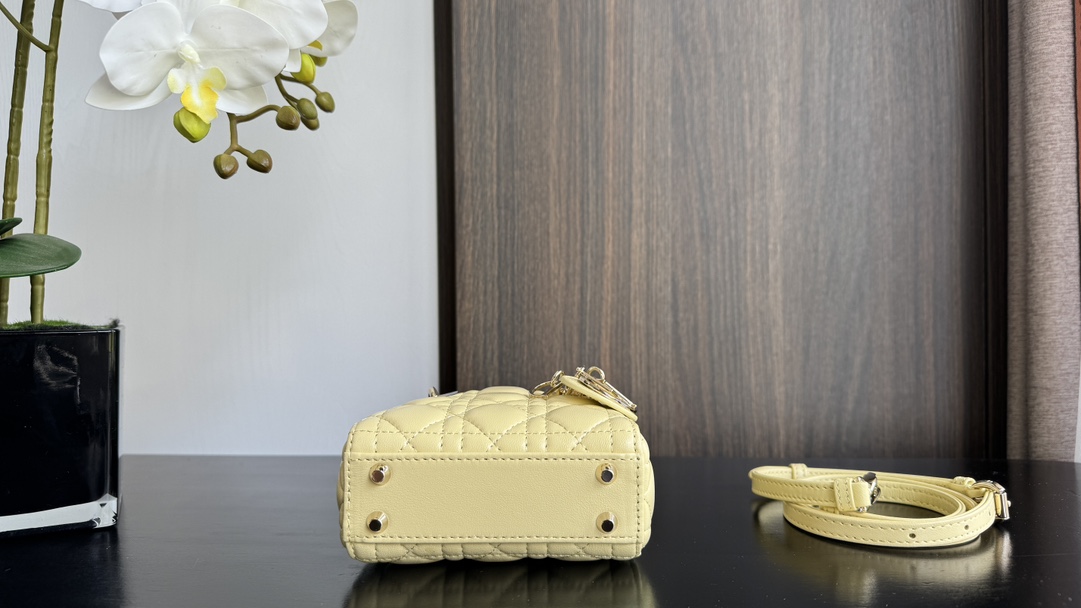 Dior Handbags AAA(Women)-630