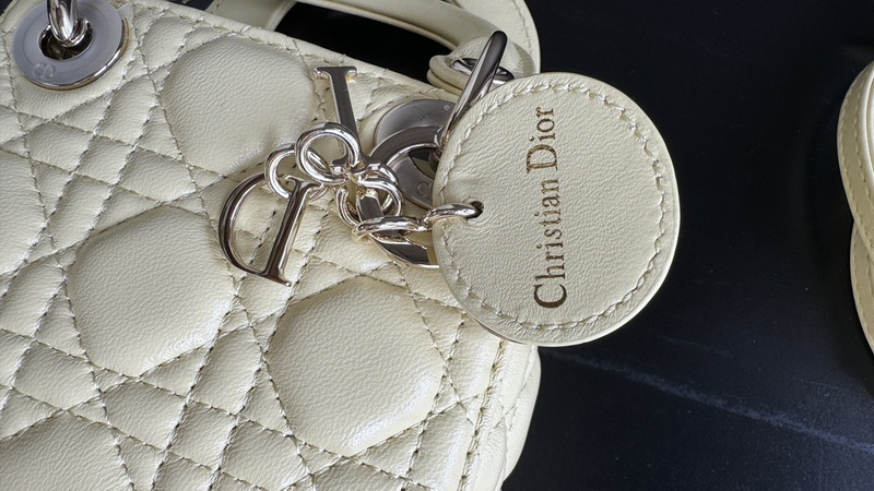 Dior Handbags AAA(Women)-630