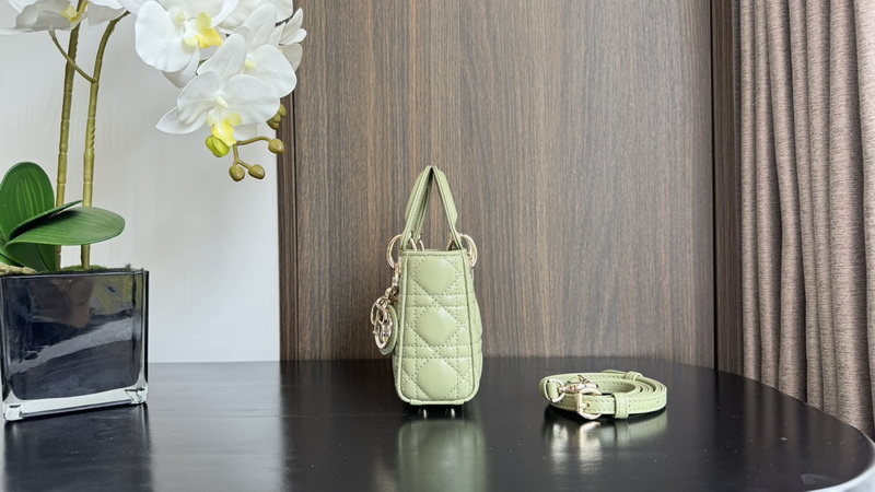 Dior Handbags AAA(Women)-632