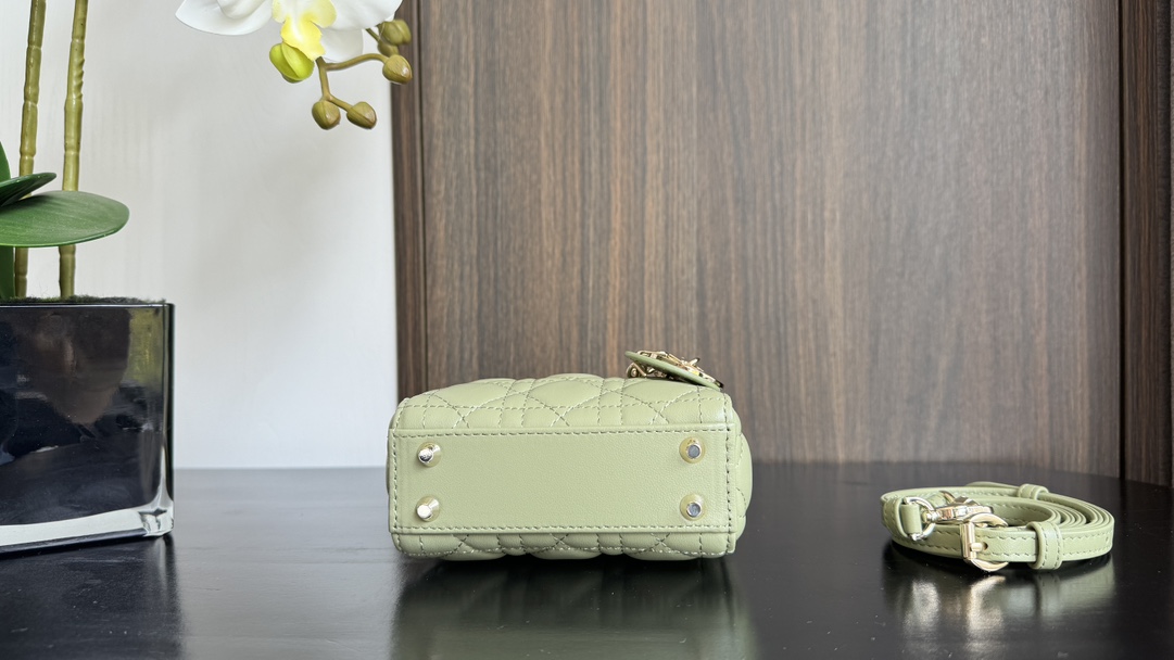Dior Handbags AAA(Women)-632