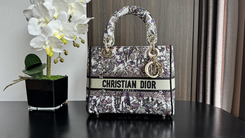 Dior Handbags AAA(Women)-646
