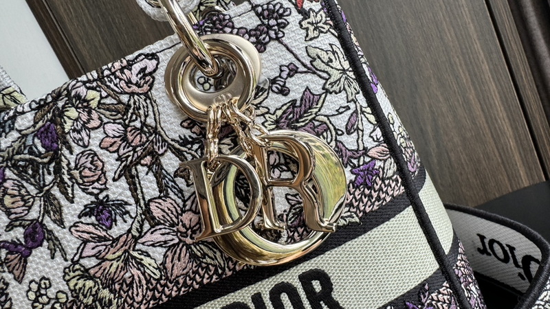 Dior Handbags AAA(Women)-646