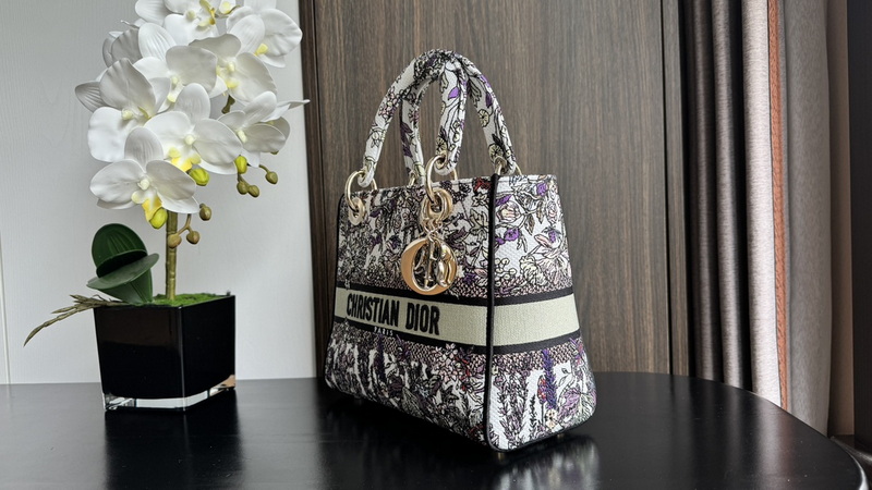 Dior Handbags AAA(Women)-646