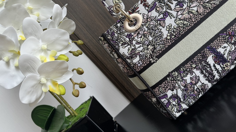 Dior Handbags AAA(Women)-646