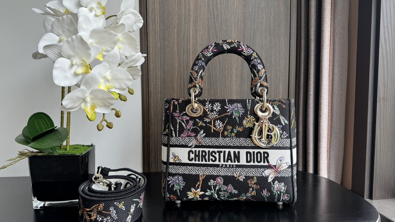 Dior Handbags AAA(Women)-647