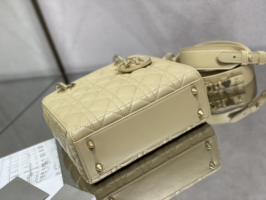 Dior Handbags AAA(Women)-650