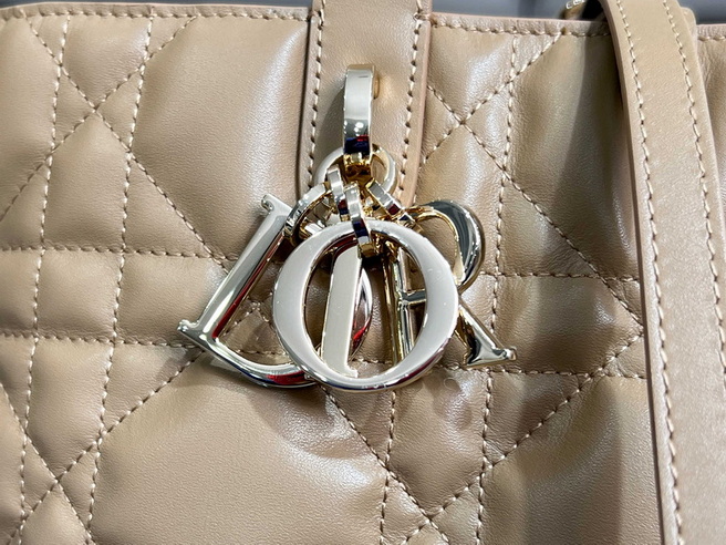 Dior Handbags AAA(Women)-655
