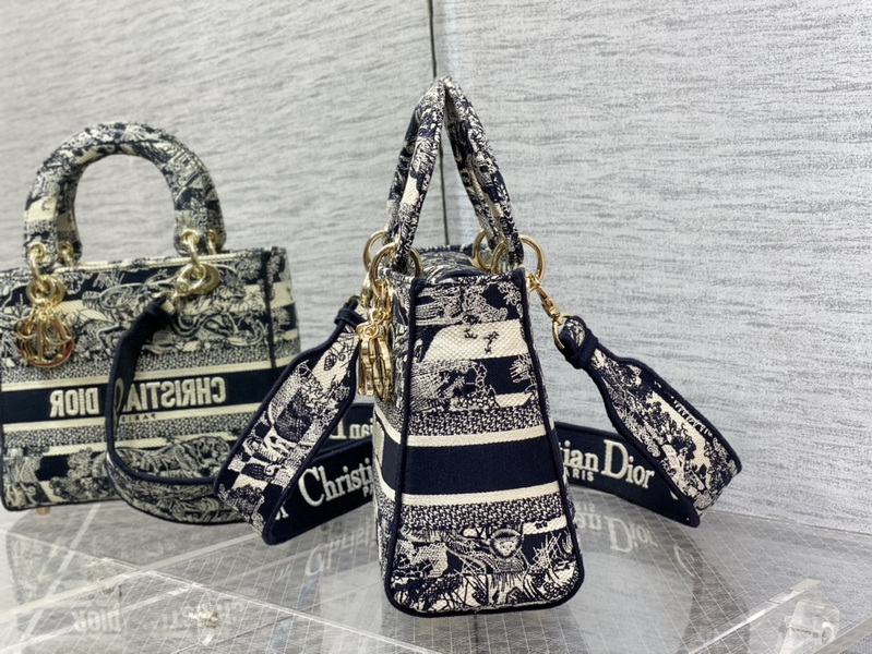 Dior Handbags AAA(Women)-663