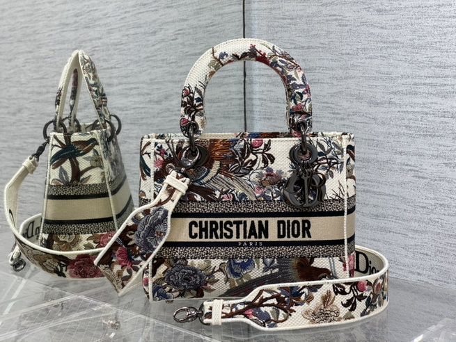Dior Handbags AAA(Women)-664