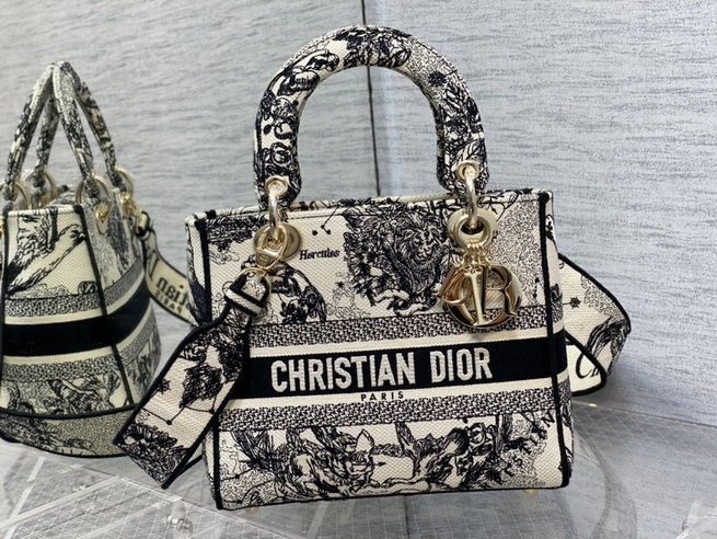 Dior Handbags AAA(Women)-666