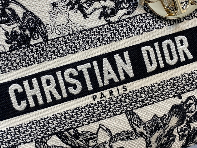 Dior Handbags AAA(Women)-666