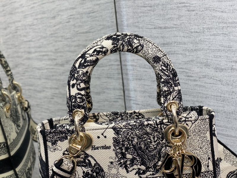 Dior Handbags AAA(Women)-666