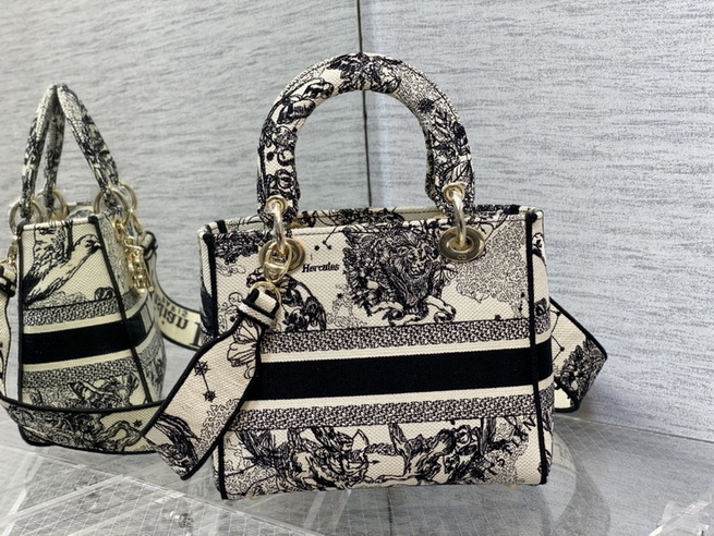 Dior Handbags AAA(Women)-666