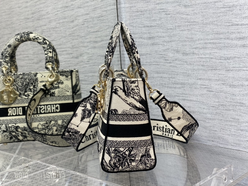 Dior Handbags AAA(Women)-666