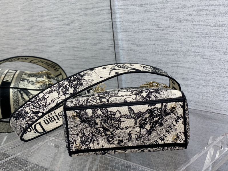 Dior Handbags AAA(Women)-666