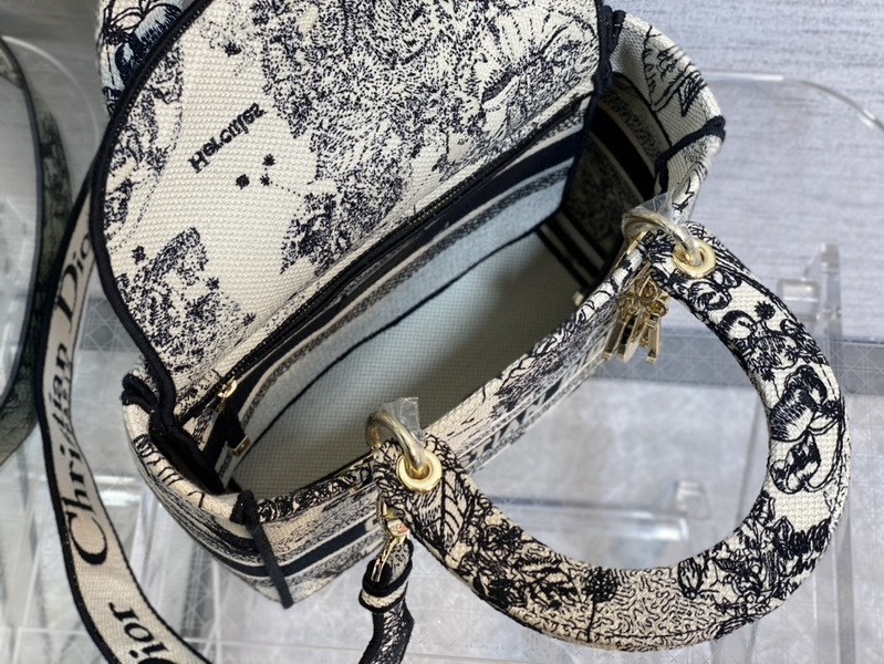 Dior Handbags AAA(Women)-666