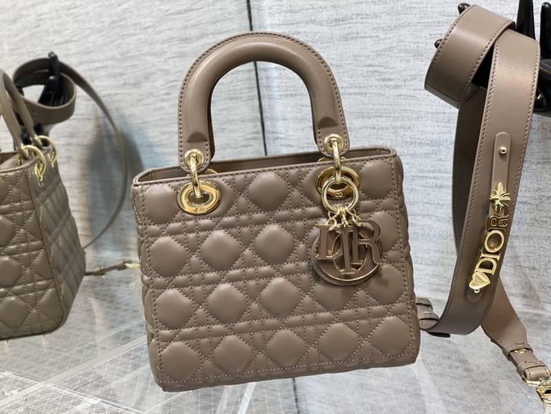 Dior Handbags AAA(Women)-667