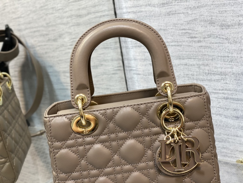 Dior Handbags AAA(Women)-667