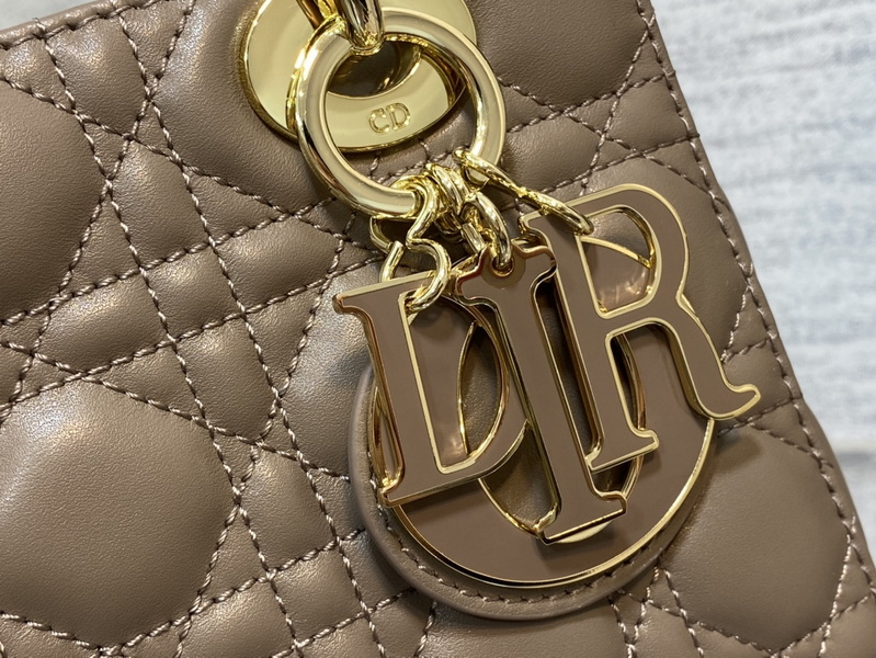Dior Handbags AAA(Women)-667