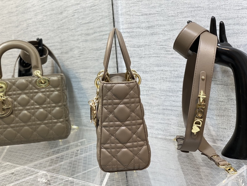 Dior Handbags AAA(Women)-667